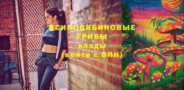 spice Кинешма