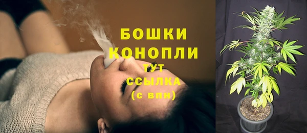 прущие грибы Киренск