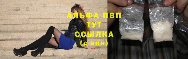 прущие грибы Киренск