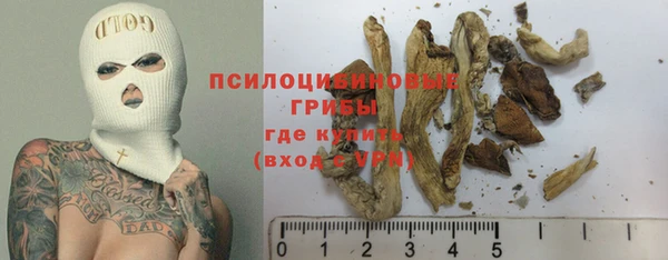 spice Кинешма
