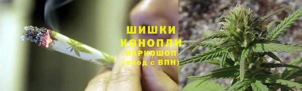 spice Кинешма