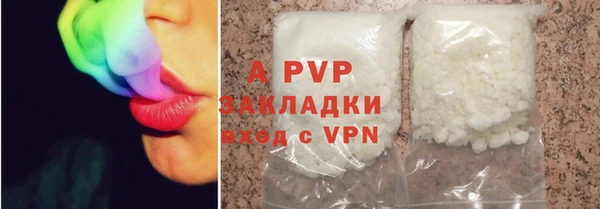 прущие грибы Киренск