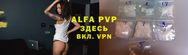 прущие грибы Киренск
