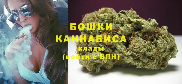 прущие грибы Киренск