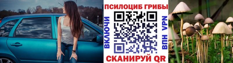Купить закладки  Бирюч  Галлюциногенные грибы прущие грибы 